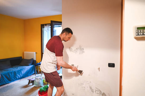 Best Health and Safety Mold Remediation in Naples Manor, FL