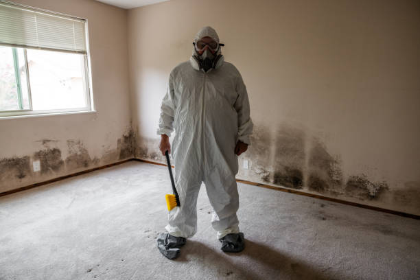 Best Industrial Mold Remediation in Naples Manor, FL